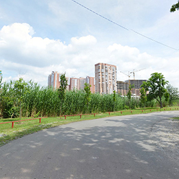 Парк Солнечный остров Краснодар